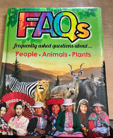 FAQs