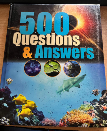 500 Questions and Answers